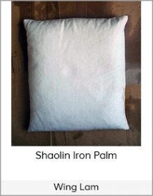 Wing Lam - Shaolin Iron Palm