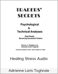 Adrienne Laris Toghraie - Healing Stress Audio