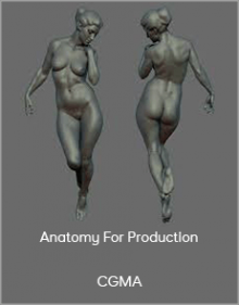 CGMA - Anatomy For Production