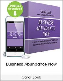 Carol Look - Business Abundance Now