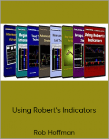 Rob Hoffman - Using Robert's Indicators