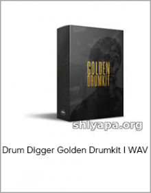 Drum Digger Golden Drumkit I WAV