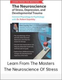 Learn From The Masters The Neuroscience Of Stress