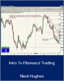 Neal Hughes - Intro To Fibonacci Trading