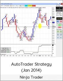 Ninja Trader - AutoTrader Strategy (Jan 2014)