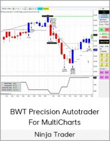 Ninja Trader - BWT Precision Autotrader For MultiCharts