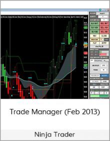 Ninja Trader - Trade Manager (Feb 2013)