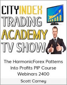 Scott Carney - The HarmonicForex Patterns Into Profits PIP Course Webinars 2400