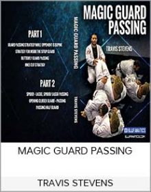 TRAVIS STEVENS - MAGIC GUARD PASSING