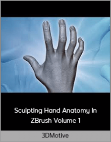 3DMotive – Sculpting Hand Anatomy In ZBrush Volume 1