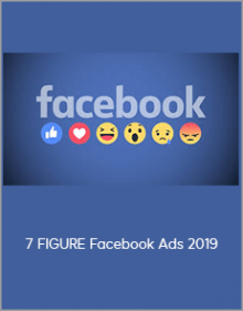 7 FIGURE Facebook Ads 2019