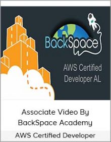 AWS Certified Developer – Associate Video By BackSpace Academy