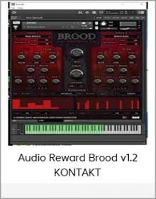 Audio Reward Brood v1 2 KONTAKT