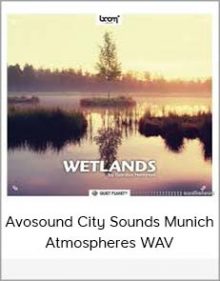 Avosound City Sounds Munich Atmospheres WAV