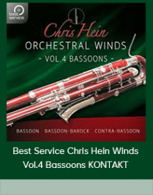 Best Service Chris Hein Winds Vol.4 Bassoons KONTAKT