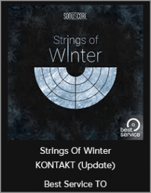 Best Service TO - Strings Of Winter KONTAKT (Update)