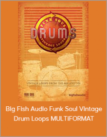 Big Fish Audio Funk Soul Vintage Drum Loops MULTiFORMAT