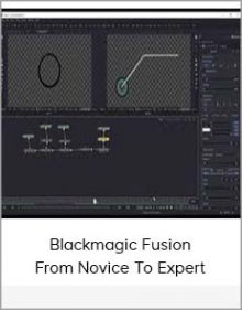 Blackmagic Fusion – From Novice To Expert