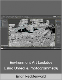 Brian Recktenwald – Environment Art Lookdev Using Unreal & Photogrammetry