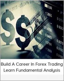 Build A Career In Forex Trading – Learn Fundamental Analysis