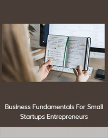 Business Fundamentals For Small Startups Entrepreneurs