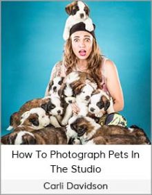 Carli Davidson – How To Photograph Pets In The Studio