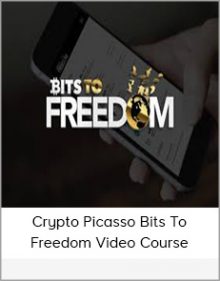 Crypto Picasso Bits to Freedom Video Course