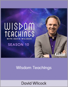 David Wilcock – Wisdom Teachings