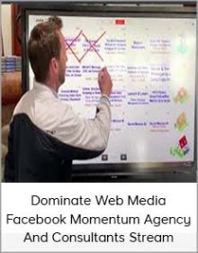 Dominate Web Media – Facebook Momentum Agency And Consultants Stream