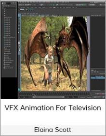 Elaina Scott – VFX Animation For Television