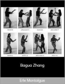 Erle Montaigue – Bagua Zhang