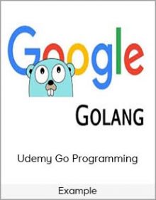 Example – Udemy Go Programming