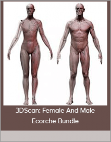 3DScan: Female And Male Ecorche Bundle