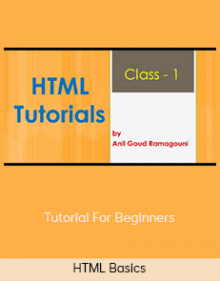 HTML Basics – Tutorial For Beginners