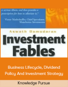 Knowledge Pursue – Business Lifecycle, Dividend Policy And Investment Strategy