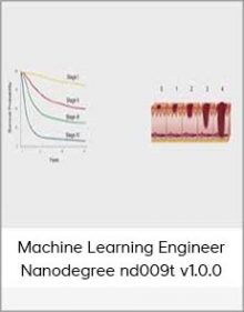 Machine Learning Engineer Nanodegree nd009t v1 0 0