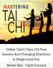 Master Bob - Taichi-Connect - Online Taichi Class - Chi Flow Session And Changing Directions In Single Hand Pus