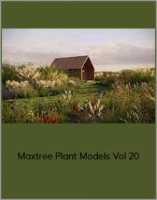 Maxtree Plant Models Vol 20