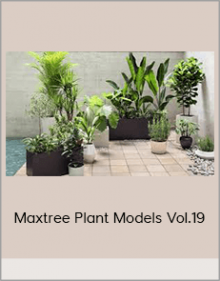 Maxtree Plant Models Vol.19