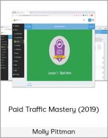 Molly Pittman - Paid Traffic Mastery (2019)