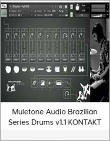 Muletone Audio Brazilian Series Drums v1 1 KONTAKT