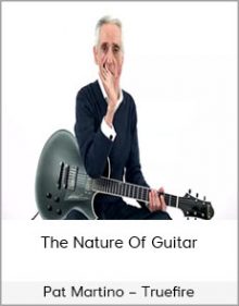 Pat Martino – Truefire – The Nature Of Guitar