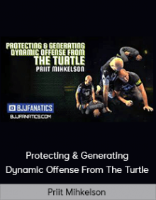 Priit Mihkelson - Protecting & Generating Dynamic Offense From The Turtle