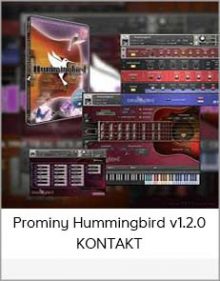 Prominy Hummingbird v1 2 0 KONTAKT