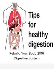 Rebuild Your Body 2016 - Digestive System