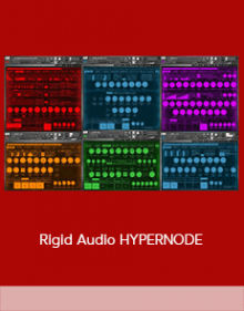 Rigid Audio HYPERNODE