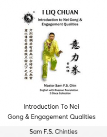 Sam F.S. Chin - Introduction To Nei Gong & Engagement Qualities