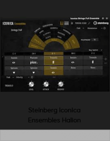 Steinberg Iconica Ensembles Halion