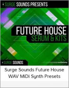 Surge Sounds Future House WAV MiDi Synth Presets