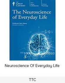 TTC - Neuroscience of Everyday Life